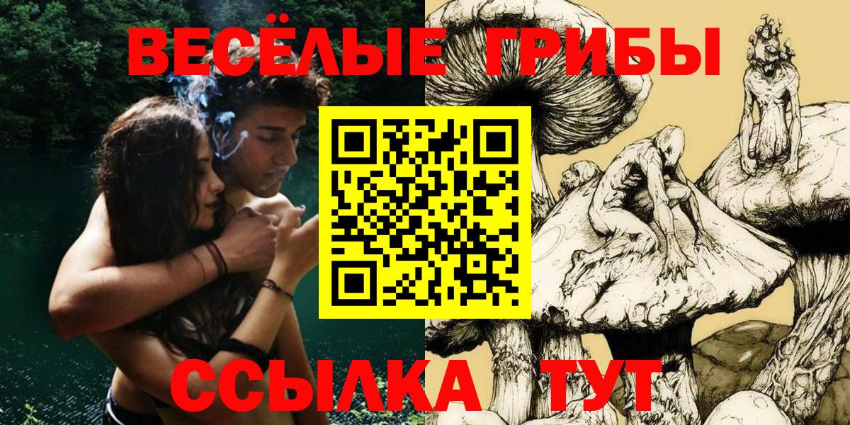 Новотроицк  Галлюциногенные грибы Psilocybine cubensis  Вход с VPN 